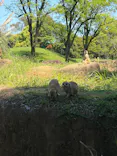 千葉市動物公園に投稿された画像（2026/5/5）