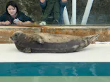 城崎マリンワールドに投稿された画像（2026/5/5）