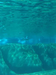 天王寺動物園に投稿された画像（2026/5/5）