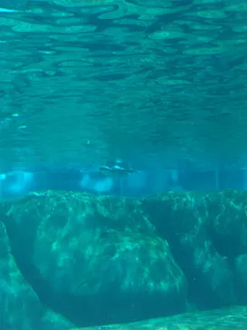 天王寺動物園に投稿された画像（2026/5/5）