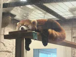 天王寺動物園に投稿された画像（2026/5/5）