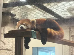 天王寺動物園に投稿された画像（2026/5/5）
