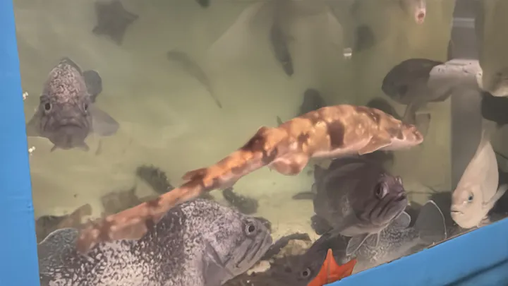 環境水族館アクアマリンふくしまの口コミ ｜15年ぶりに行きました。 GW