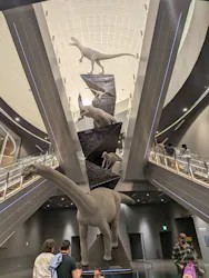 福井県立恐竜博物館に投稿された画像（2026/5/5）