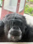 秋田市大森山動物園に投稿された画像（2026/5/5）