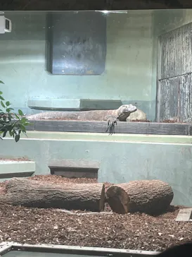 名古屋市東山動植物園に投稿された画像（2026/5/5）