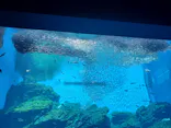 仙台うみの杜水族館に投稿された画像（2026/5/5）