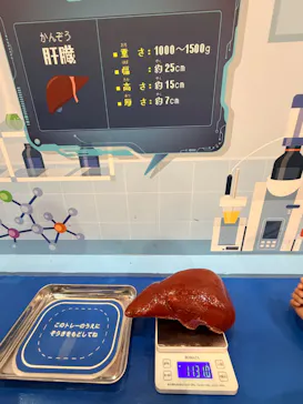 キョーリン製薬グループpresents 超からだのひみつ大冒険 in SHIZUOKA（ツインメッセ静岡）に投稿された画像（2026/5/5）