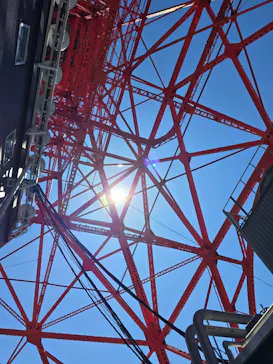 東京タワーに投稿された画像（2026/5/5）