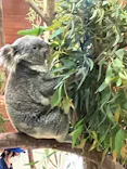 こども動物自然公園（埼玉県公園緑地協会）に投稿された画像（2026/5/5）