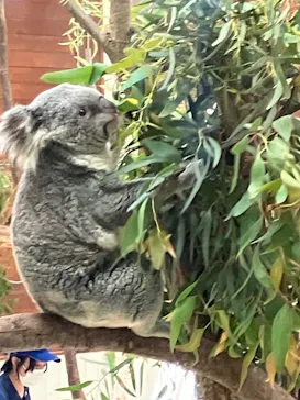 こども動物自然公園（埼玉県公園緑地協会）に投稿された画像（2026/5/5）
