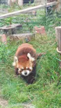 天王寺動物園に投稿された画像（2026/5/5）