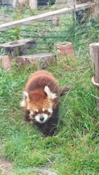 天王寺動物園に投稿された画像（2026/5/5）