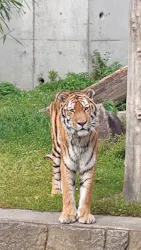 天王寺動物園に投稿された画像（2026/5/5）