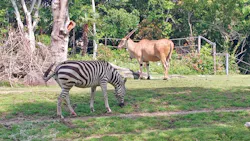 天王寺動物園に投稿された画像（2026/5/5）