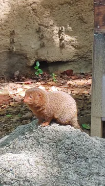天王寺動物園に投稿された画像（2026/5/5）