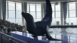 アクアワールド茨城県大洗水族館に投稿された画像（2026/5/5）