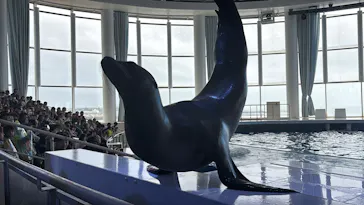 アクアワールド茨城県大洗水族館に投稿された画像（2026/5/5）