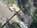 秋吉台自然動物公園 サファリランドに投稿された画像（2026/5/5）
