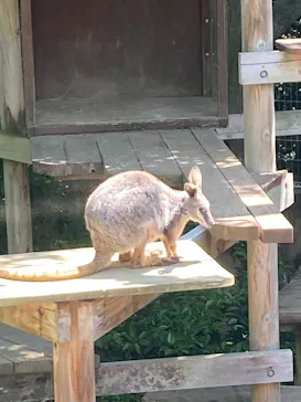 こども動物自然公園（埼玉県公園緑地協会）に投稿された画像（2026/5/5）