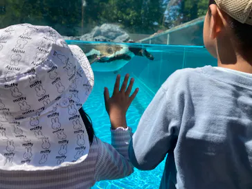 こども動物自然公園（埼玉県公園緑地協会）に投稿された画像（2026/5/5）