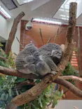 こども動物自然公園（埼玉県公園緑地協会）に投稿された画像（2026/5/5）