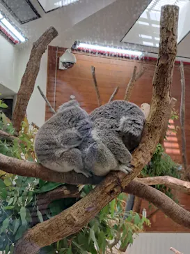 こども動物自然公園（埼玉県公園緑地協会）に投稿された画像（2026/5/5）
