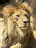 天王寺動物園に投稿された画像（2026/5/5）