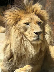 天王寺動物園に投稿された画像（2026/5/5）