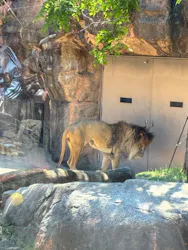 天王寺動物園に投稿された画像（2026/5/5）
