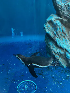 島根県立 しまね海洋館に投稿された画像（2026/5/5）