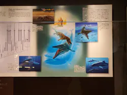 福井県立恐竜博物館に投稿された画像（2026/5/5）