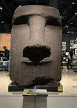 国立民族学博物館に投稿された画像（2026/5/5）