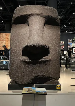 国立民族学博物館に投稿された画像（2026/5/5）