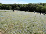 万博記念公園に投稿された画像（2026/5/5）