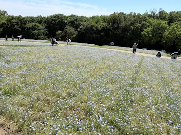 万博記念公園に投稿された画像（2026/5/5）