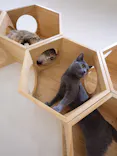 Cat Café MOFF イオンモール豊川店に投稿された画像（2026/5/5）