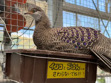 掛川花鳥園に投稿された画像（2026/5/5）