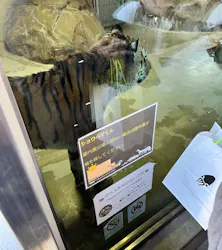 天王寺動物園に投稿された画像（2026/5/5）