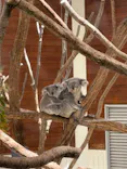 こども動物自然公園（埼玉県公園緑地協会）に投稿された画像（2026/5/5）