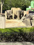 広島市安佐動物公園に投稿された画像（2026/5/5）