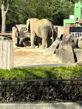 広島市安佐動物公園に投稿された画像（2026/5/5）