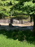 いしかわ動物園に投稿された画像（2026/5/5）