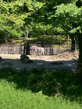 いしかわ動物園に投稿された画像（2026/5/5）