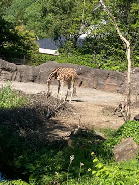 いしかわ動物園に投稿された画像（2026/5/5）