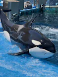 名古屋港水族館に投稿された画像（2026/5/5）