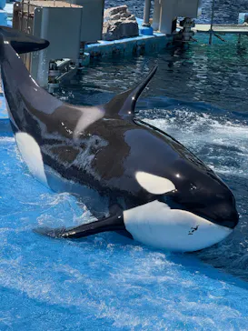名古屋港水族館に投稿された画像（2026/5/5）