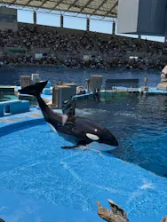 名古屋港水族館に投稿された画像（2026/5/5）