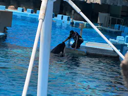 名古屋港水族館に投稿された画像（2026/5/5）