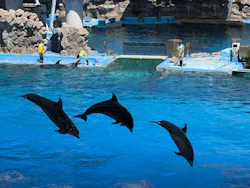 名古屋港水族館に投稿された画像（2026/5/5）